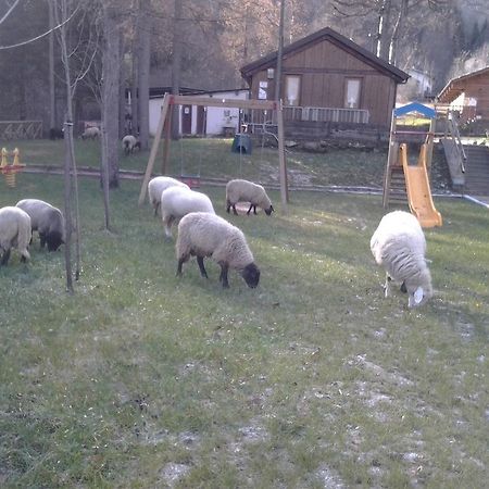 B&B La Miando Salza di Pinerolo Экстерьер фото